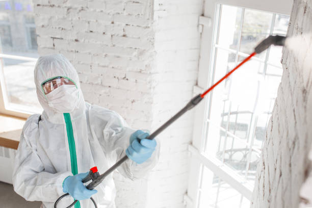 Best Mold Removal for HVAC Installations  in Cumberland, KY
