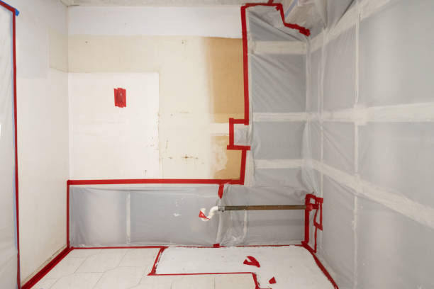 Professional Mold Removal in Cumberland, KY