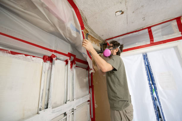 Best Airborne Mold Testing  in Cumberland, KY