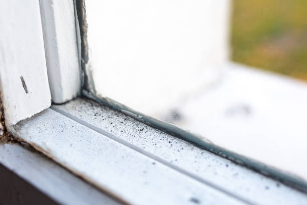 Best Dehumidification Services  in Cumberland, KY