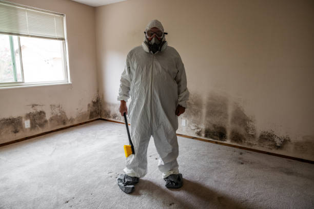 Best Asbestos and Lead Testing During Mold Inspection  in Cumberland, KY